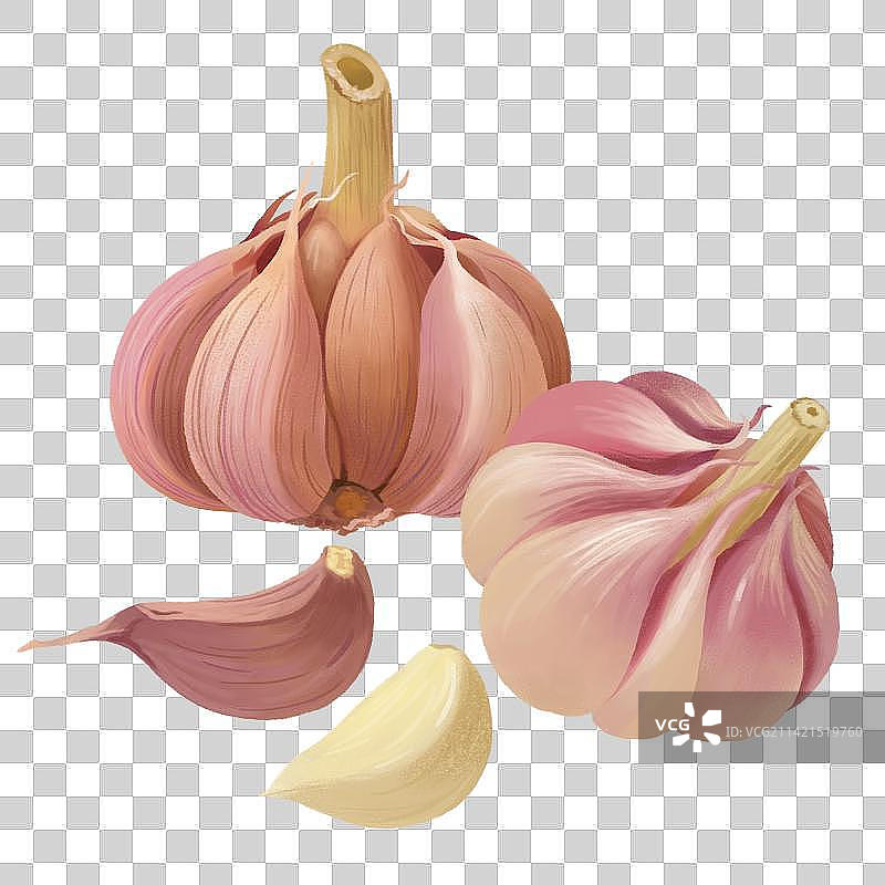大蒜图片素材