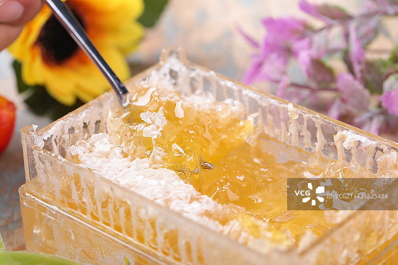 蜂巢蜂蜜 甜食  静物摄影图片素材