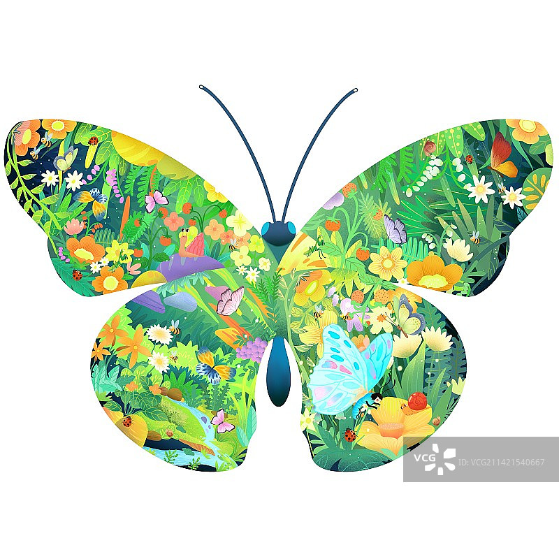 蝴蝶丛林图片素材