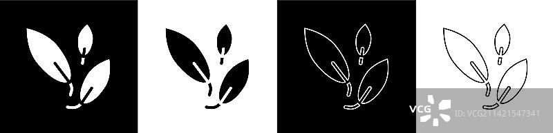 茶叶图标黑白背景素材图片素材