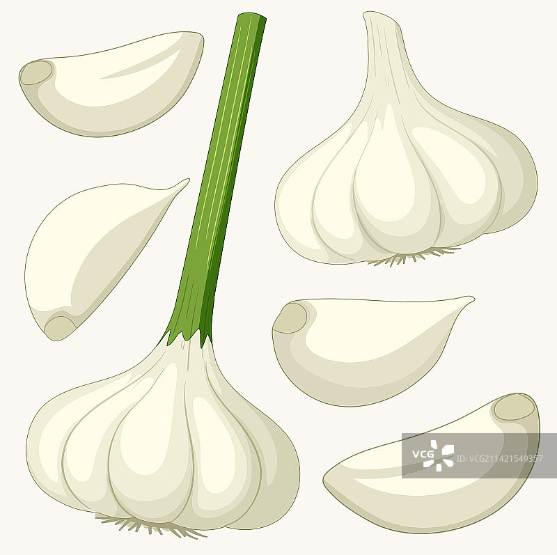 卡通风格大蒜图片素材