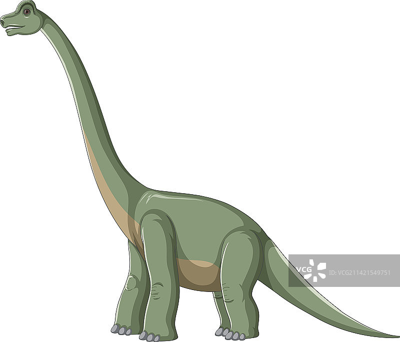 白色背景上的腕龙图片素材