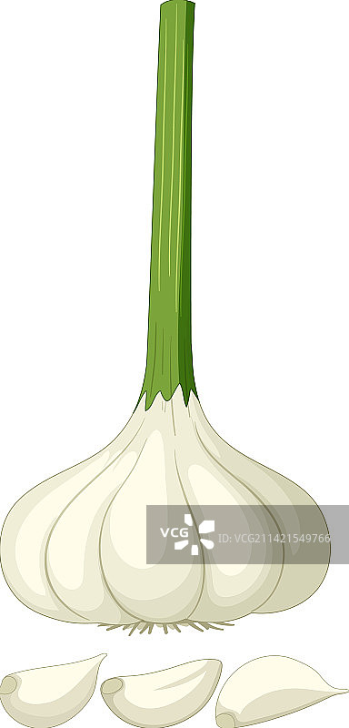 白色背景上的蒜瓣图片素材