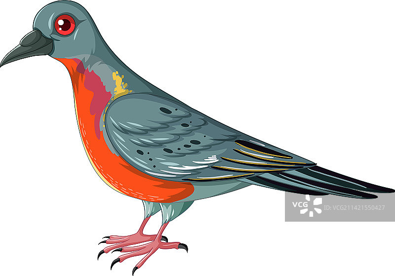 已灭绝的动物旅鸽图片素材