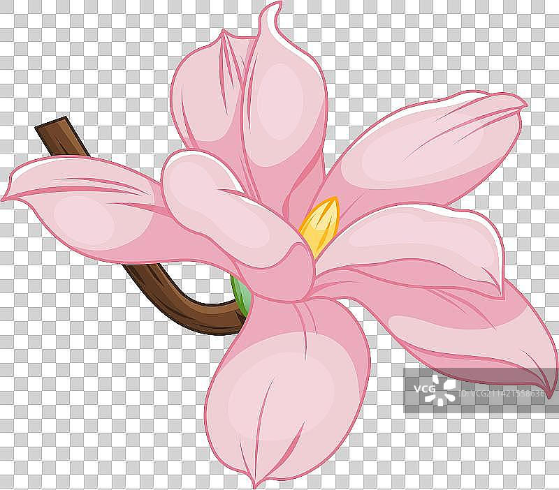 玉兰花-立春-矢量图片素材