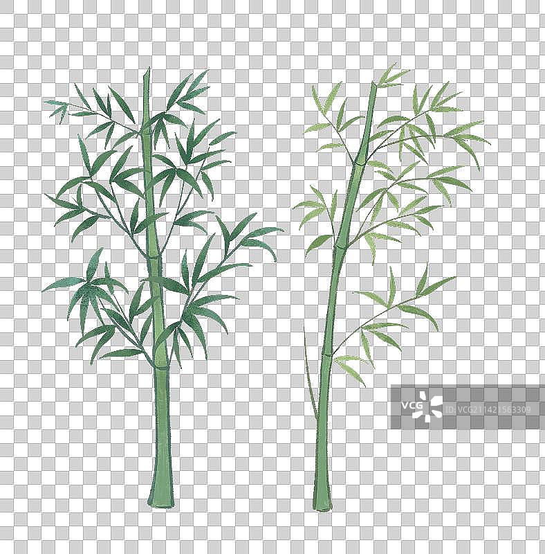 二十四节气雨水之竹叶和竹林图片素材