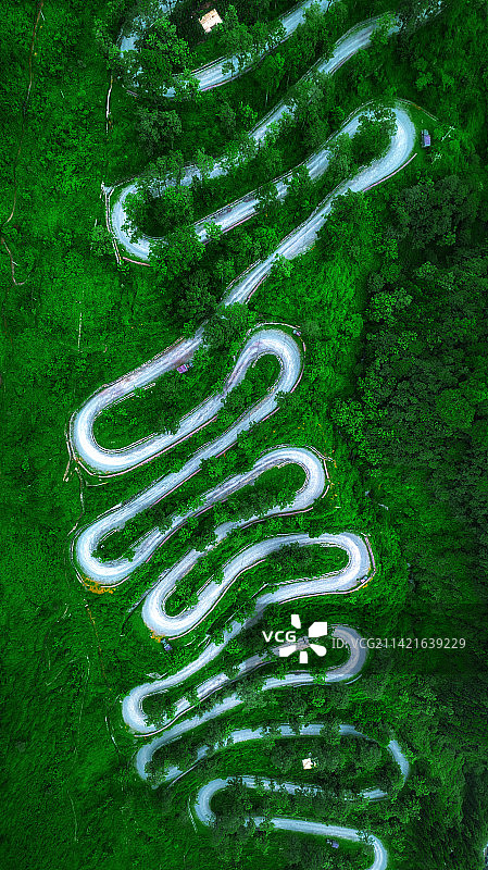 山舞银蛇图片素材