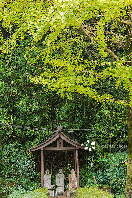 日本京都城市风光图片素材