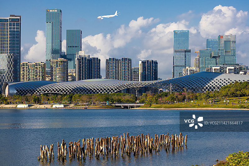 深圳湾人才公园拍春茧体育场图片素材