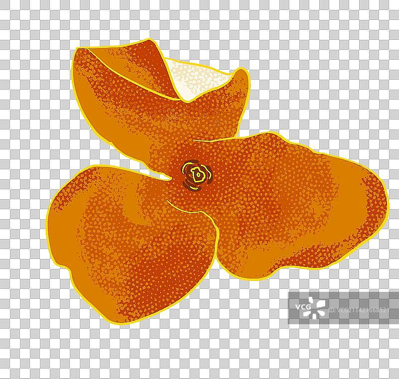 陈皮元素橘皮图片素材