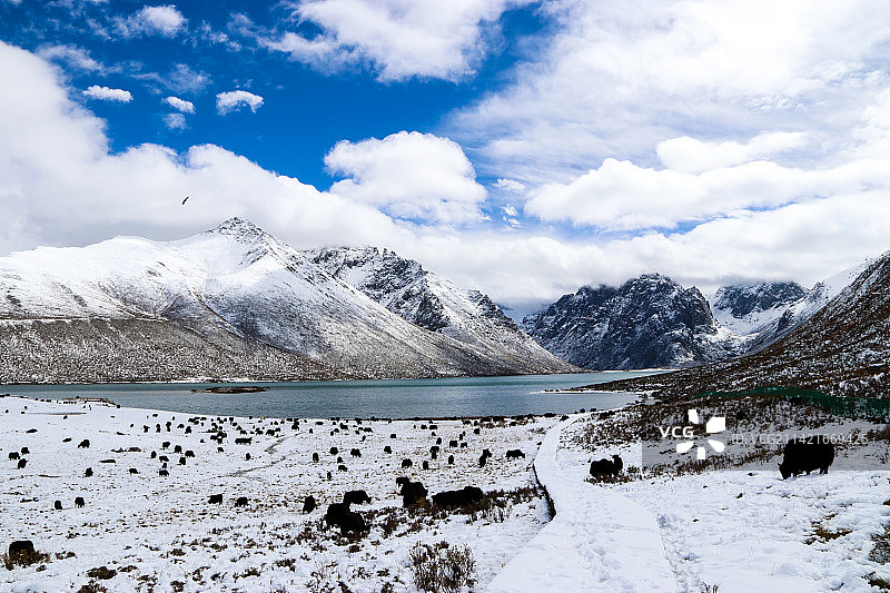 走川西图片素材