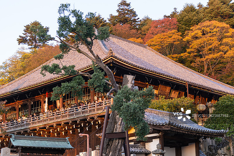 日本奈良寺庙风光图片素材