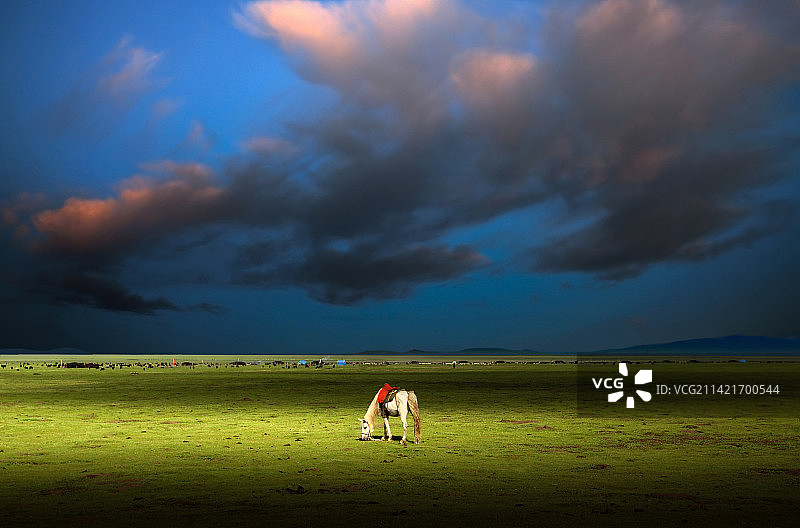 若尔盖草原图片素材