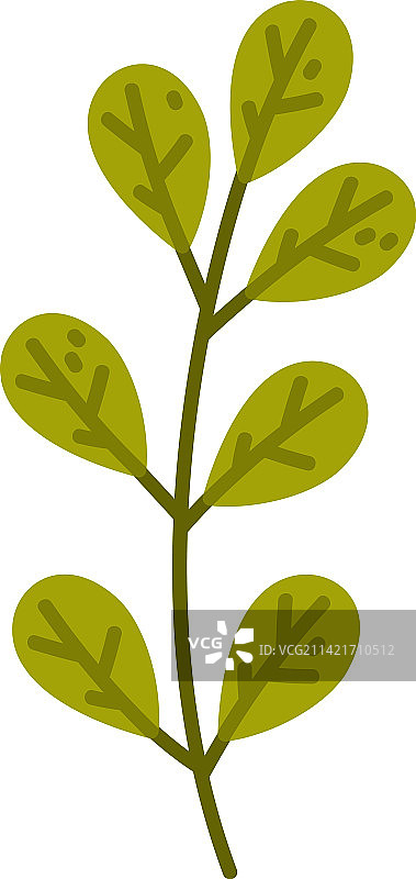 带绿叶的花卉树枝，作为可爱的树叶图片素材