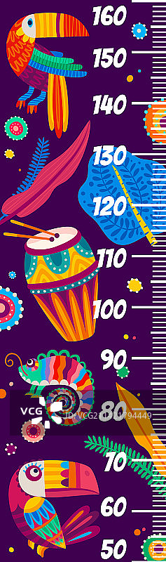 巴西巨嘴鸟和鼓儿童身高表图片素材