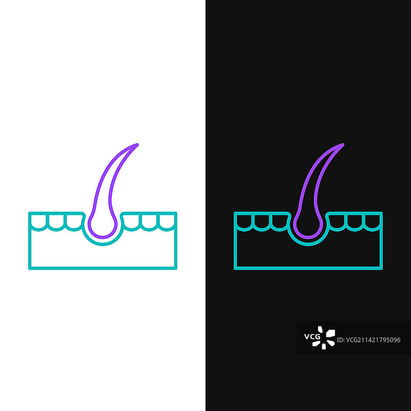 线条人毛囊图标，白色背景图片素材