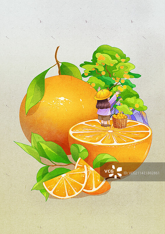 橙子包装创意插画图片素材