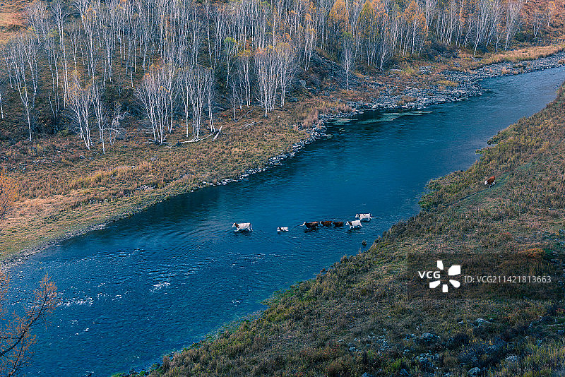 内蒙古兴安盟阿尔山森林公园不冻河秋天自然风光图片素材