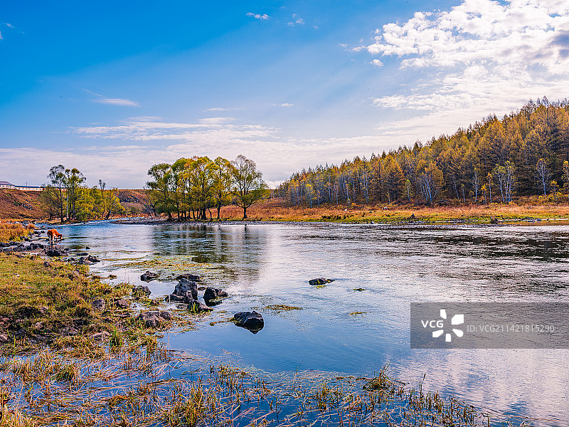 内蒙古兴安盟阿尔山森林公园不冻河秋天自然风光图片素材