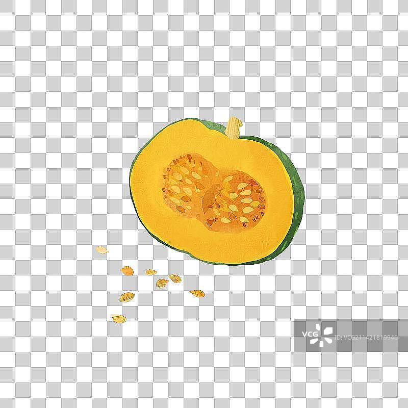 切开的南瓜插画图片素材