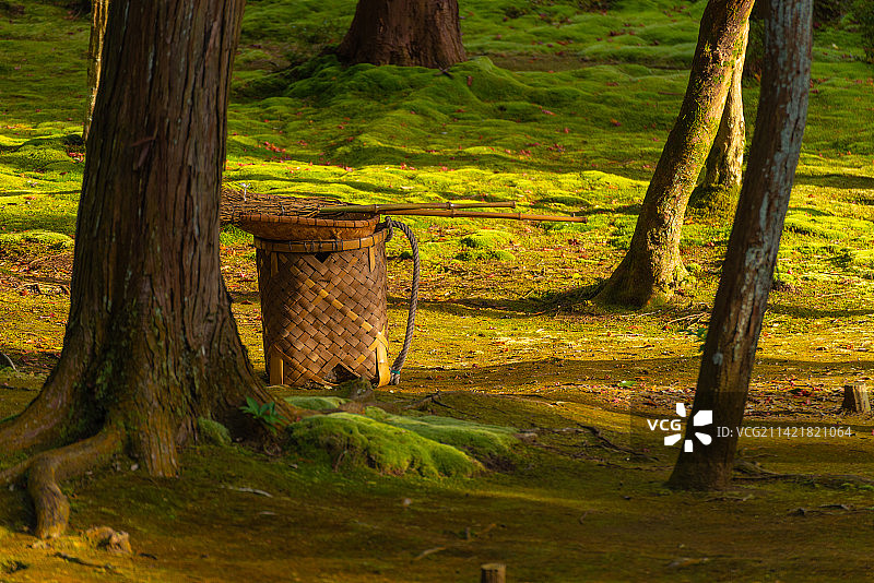 日本京都世界文化遗产西芳寺苔寺图片素材