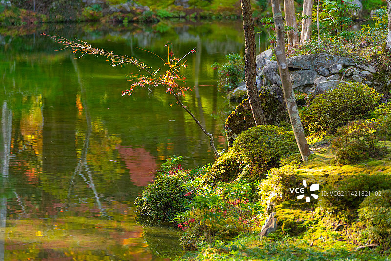日本京都世界文化遗产西芳寺苔寺图片素材