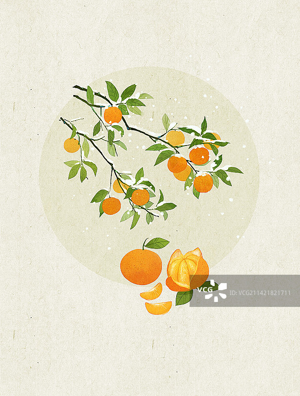 大雪橘子插画图片素材