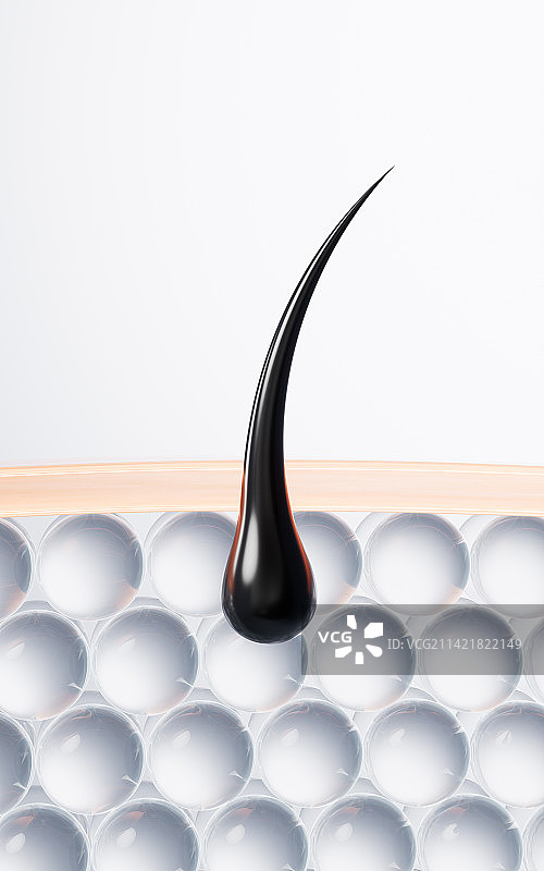 毛发与表皮细胞3D渲染图片素材