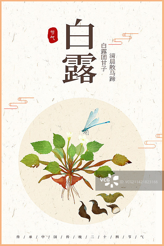 白露菱角插画海报图片素材