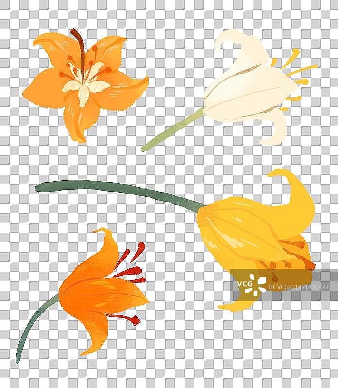 妇女节插画元素鲜花花束图片素材
