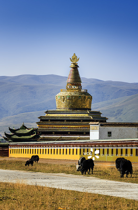 美丽的阿坝草原--四川阿坝州各莫寺风光图片素材
