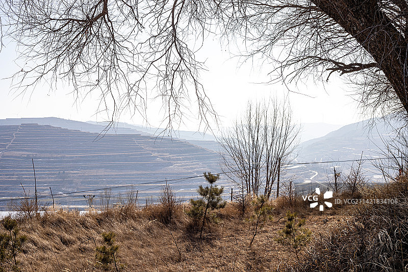 冬季的黄土高原上一道道梯田景观迷人图片素材