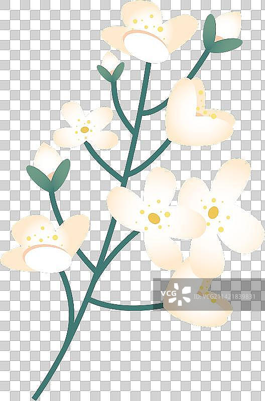 茉莉花扁平风免扣元素图片素材