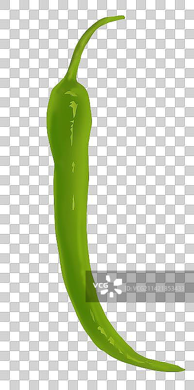 蔬菜食物食材美食营养佐料辣椒尖椒元素插画图片素材
