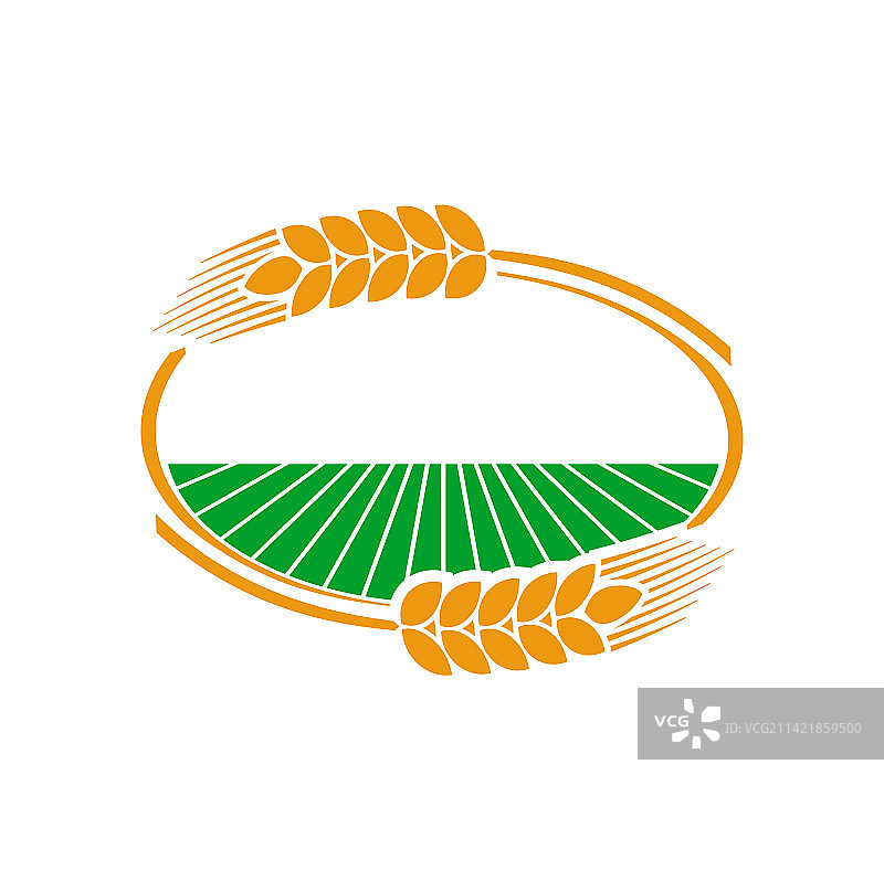 小麦、黑麦和大麦的谷物穗和尖峰图标图片素材