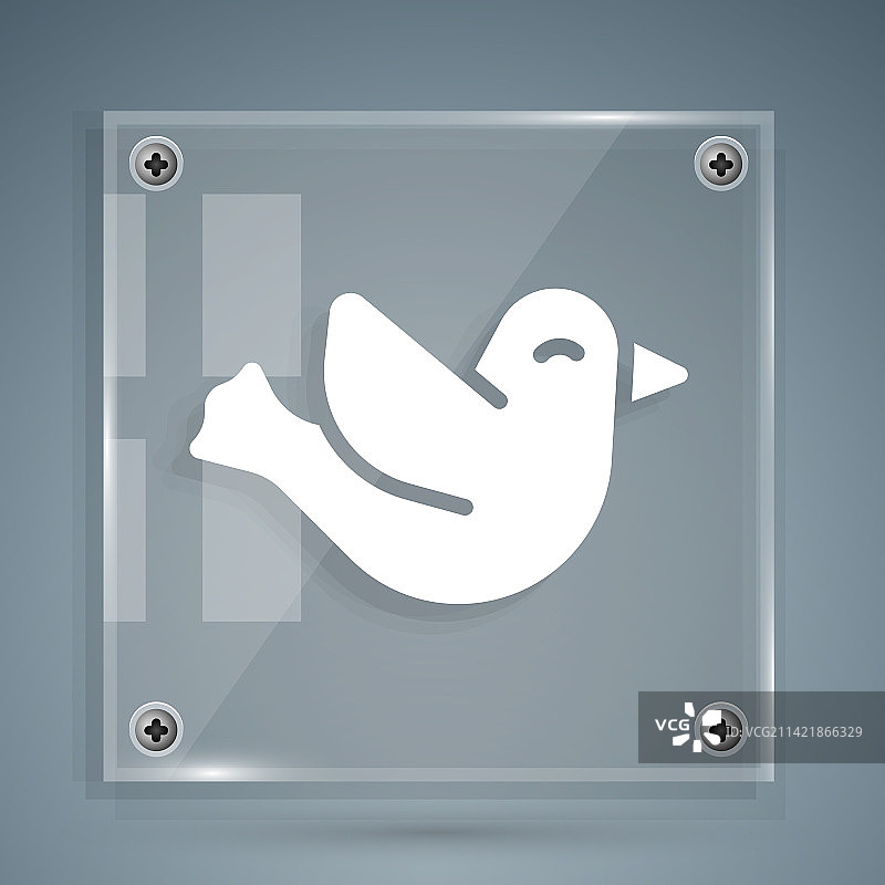 灰色背景上的白色鸽子图标图片素材