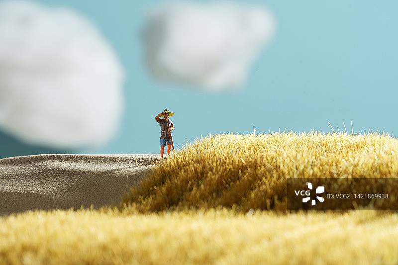 农民在稻田里劳作图片素材