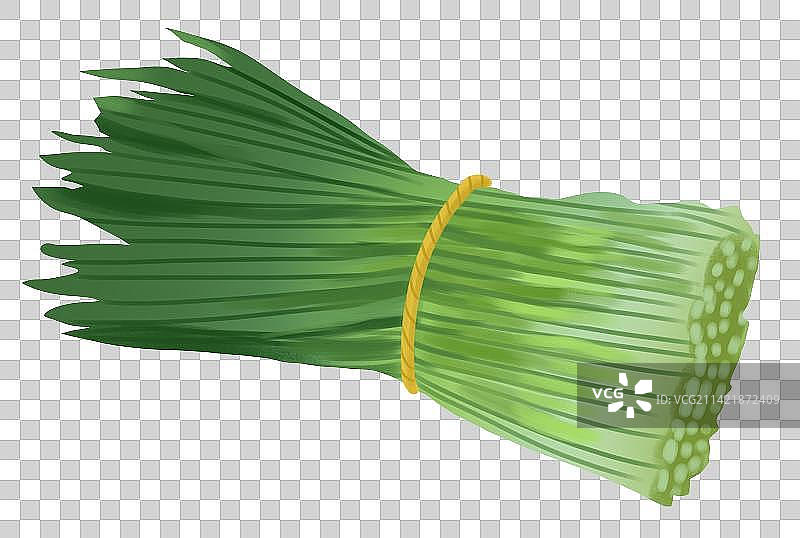 蔬菜食物食材营养健康一把韭菜元素插画图片素材