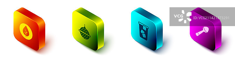 2.5D等距茶叶、茶球、滤茶器和冰块图片素材