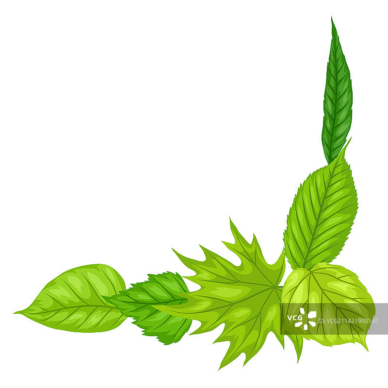 美丽的春季树叶背景图片素材