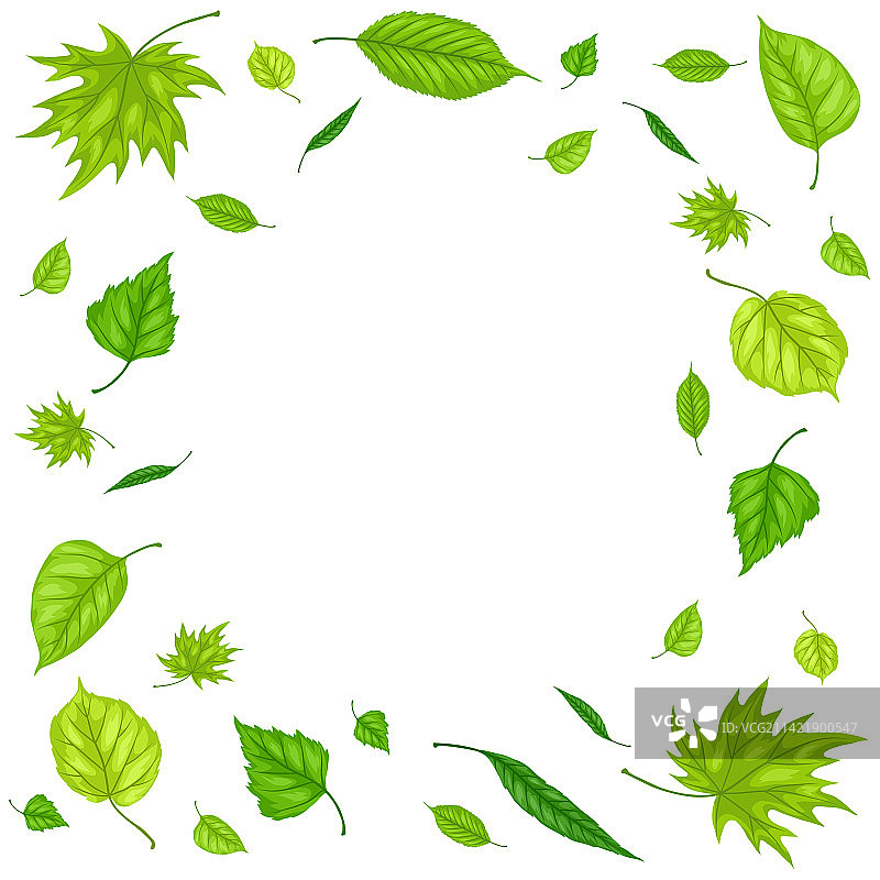 美丽装饰春季树叶边框图片素材