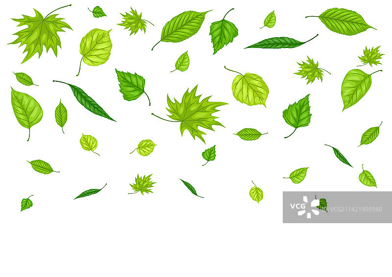 美丽的春季树叶背景图片素材