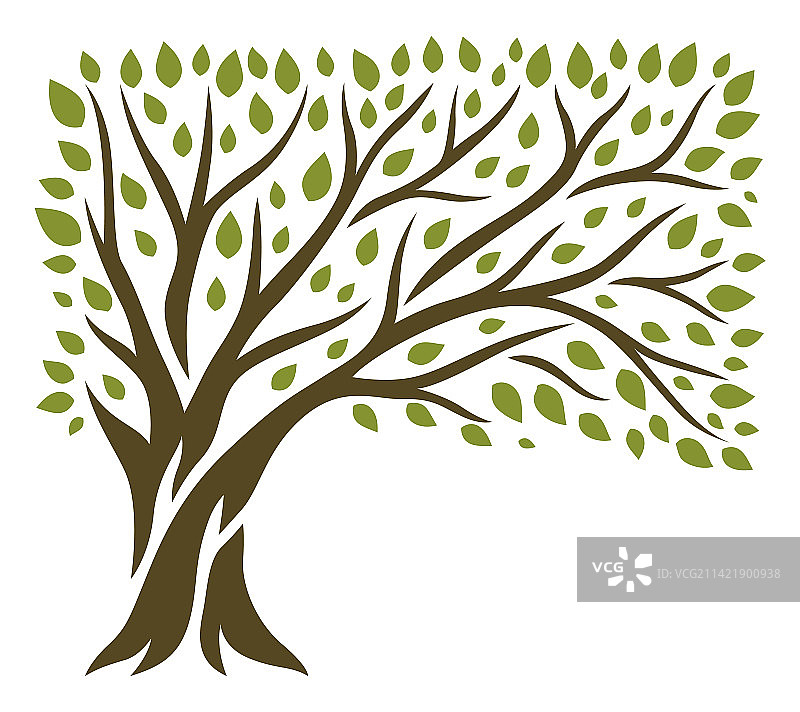 春夏绿叶树木自然风光图片素材