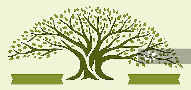 春夏绿叶树木自然风光图片素材