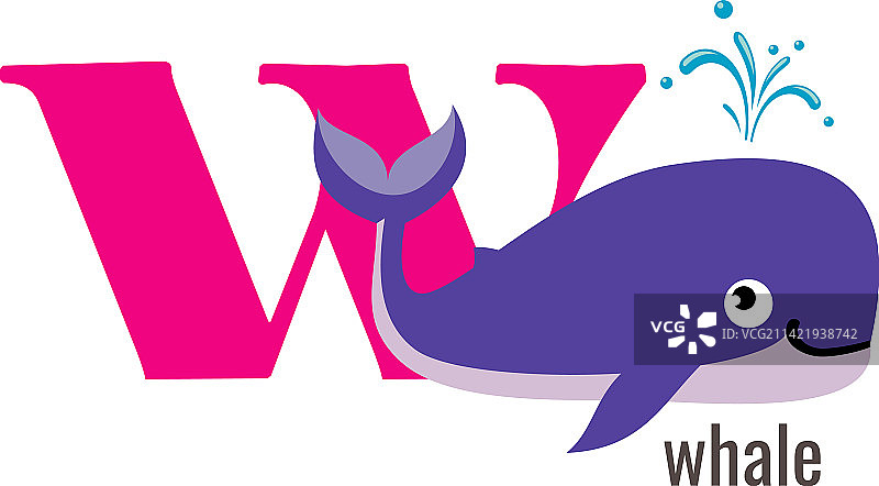 字母W单词卡片英文字体图片素材