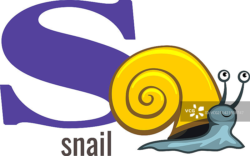 S字母蜗牛动物英文单词设计图片素材