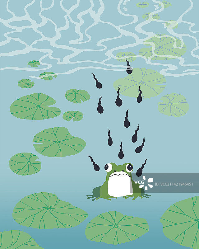 一群小蝌蚪找妈妈图片素材