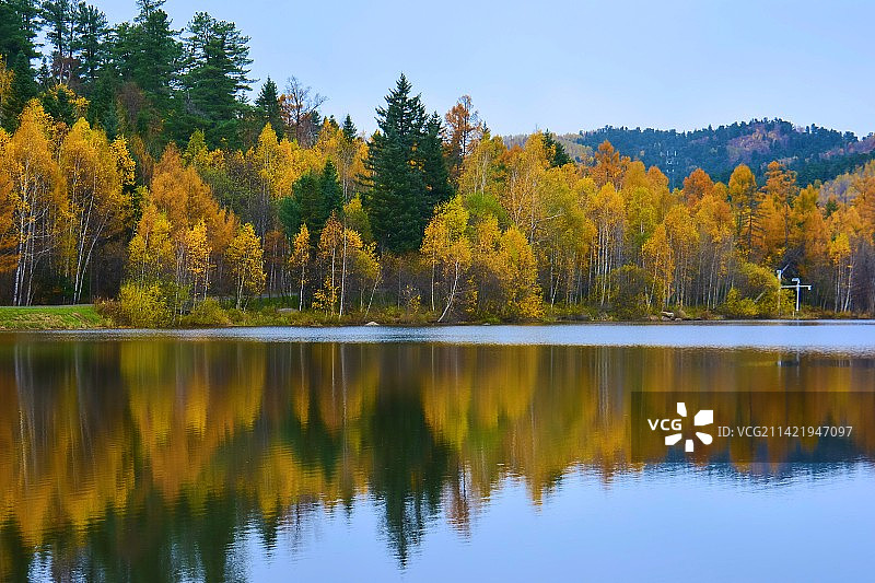 伊春五营森林公园秋色图片素材