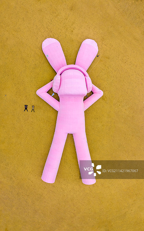 快乐兔图片素材