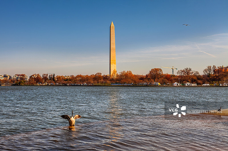 华盛顿纪念碑—波托马克河畔图片素材